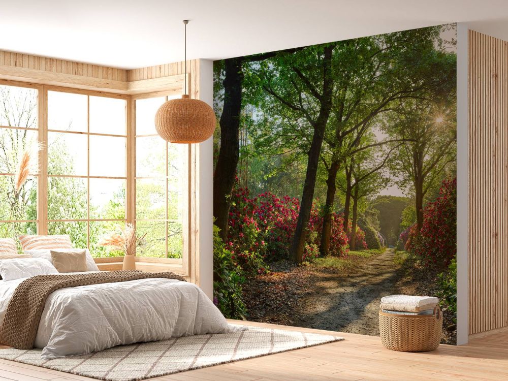 Zonsopkomst bij pad met rhododendrons