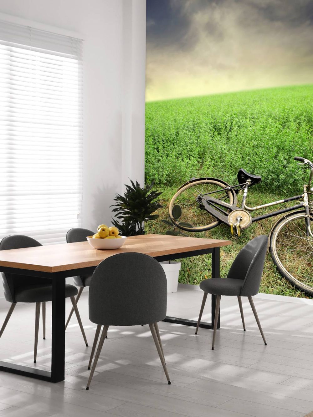 Oude fiets