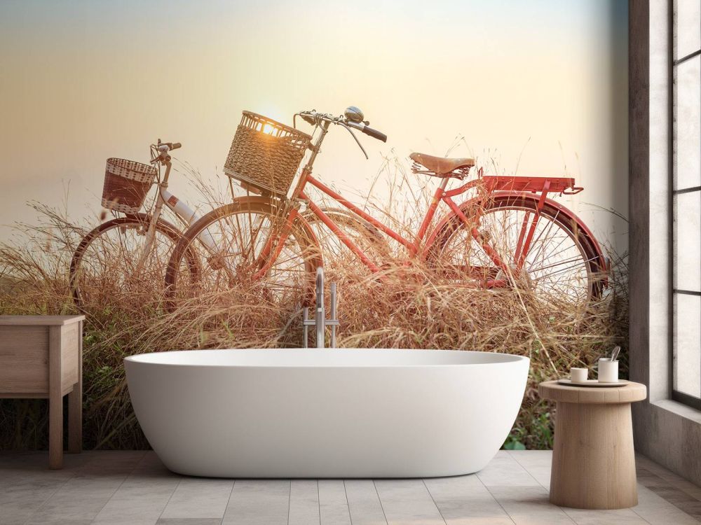 Vintage fietsen