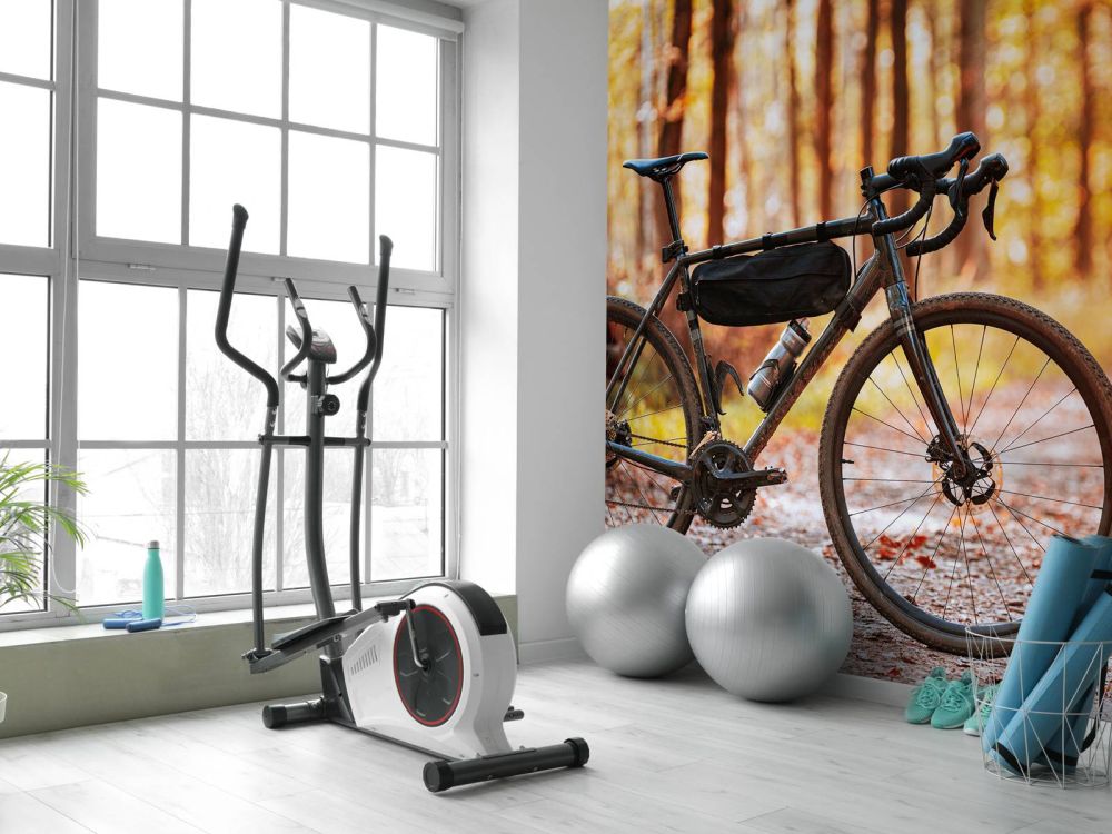 Fiets in de herfst
