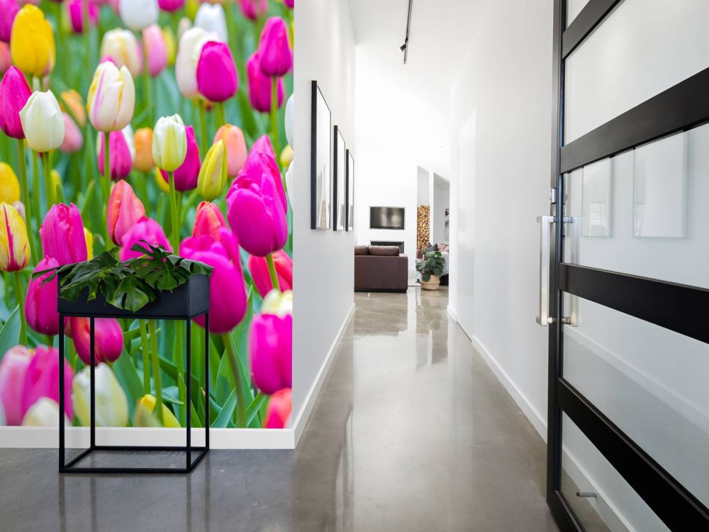 Kleurrijke tulpen in een veld