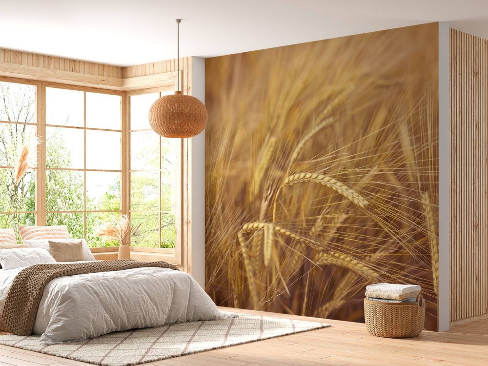 Wheat Field