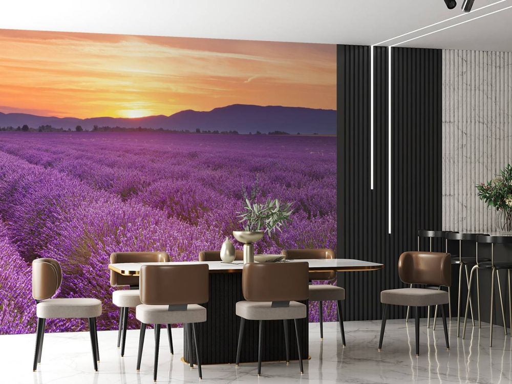 Veld vol lavendel