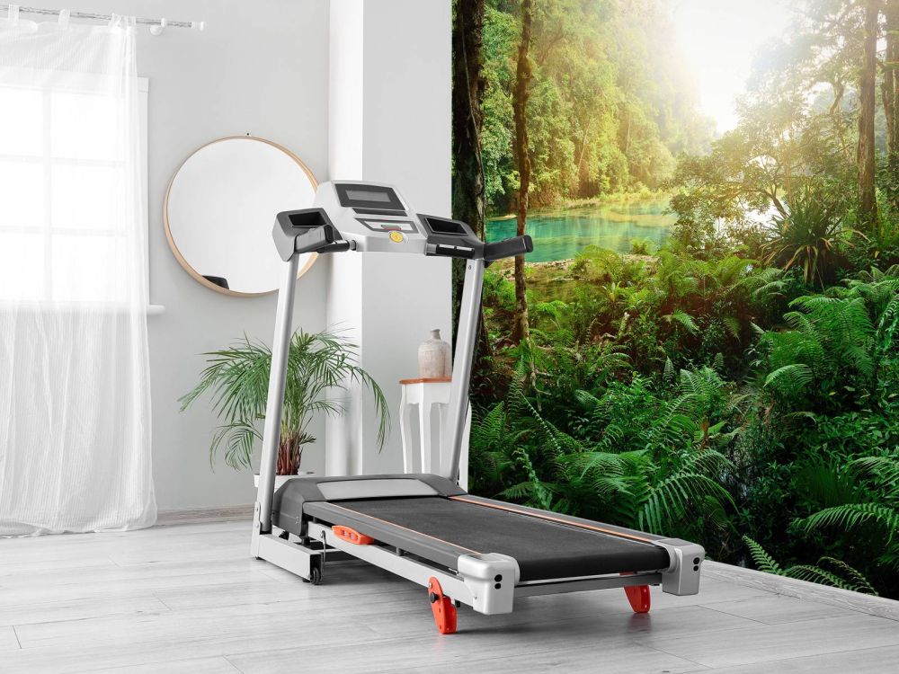 Meer in de jungle