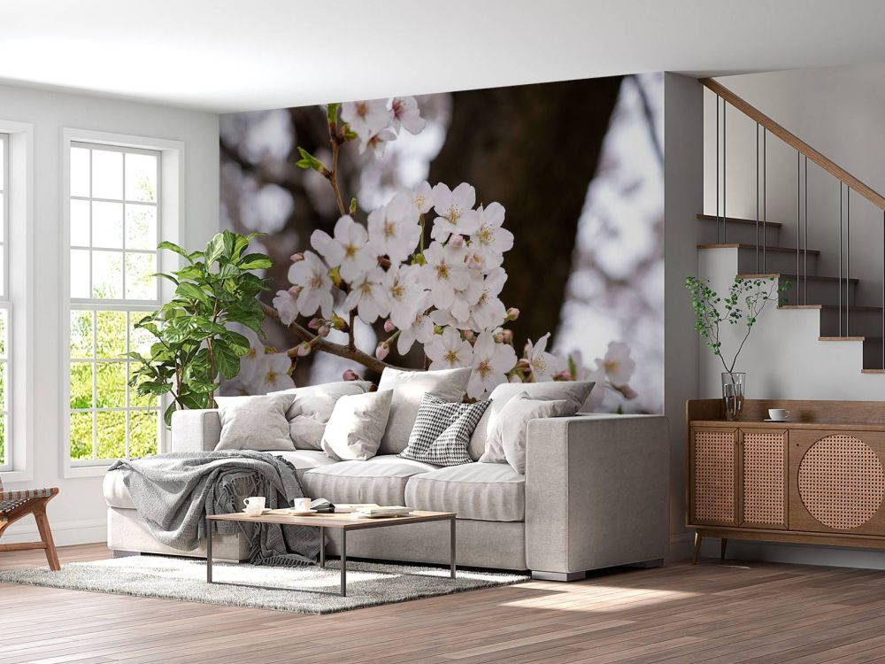 Witte bloesems