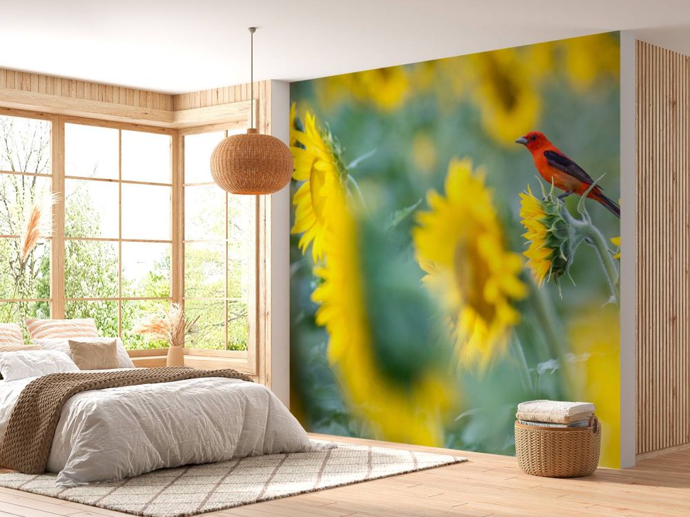 Zonnebloemenveld met rood vogeltje