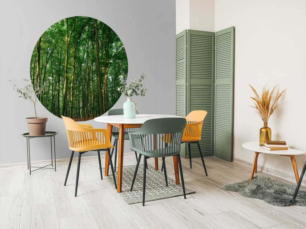 Groen bos 