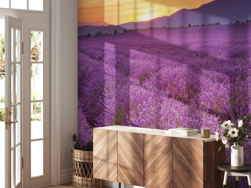 Veld vol lavendel