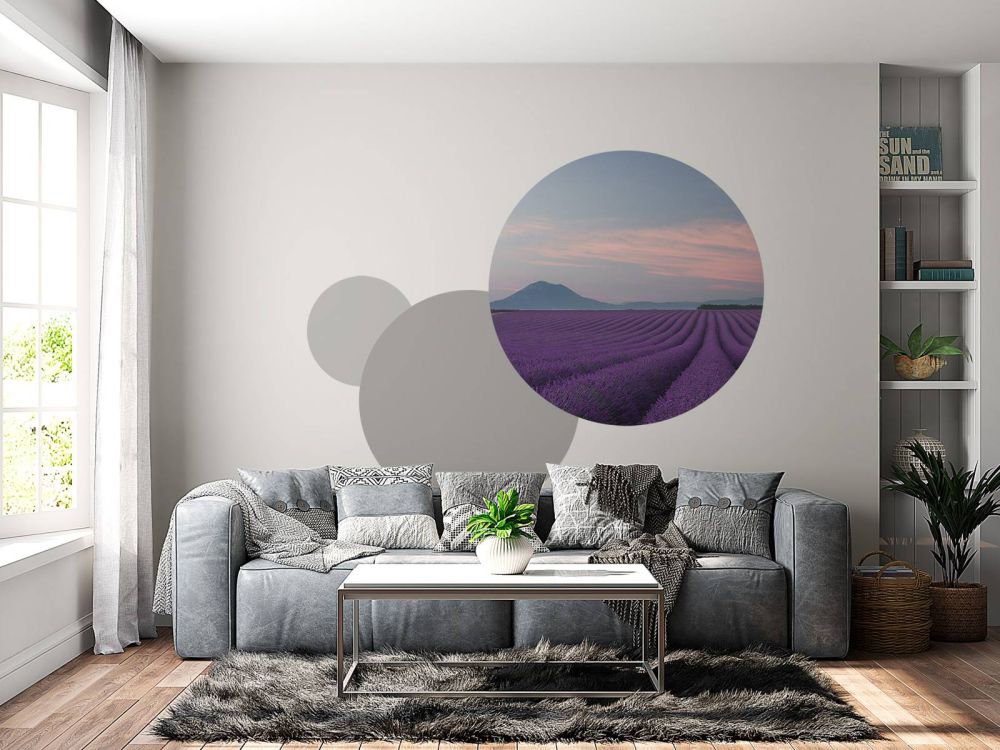 Lavender field