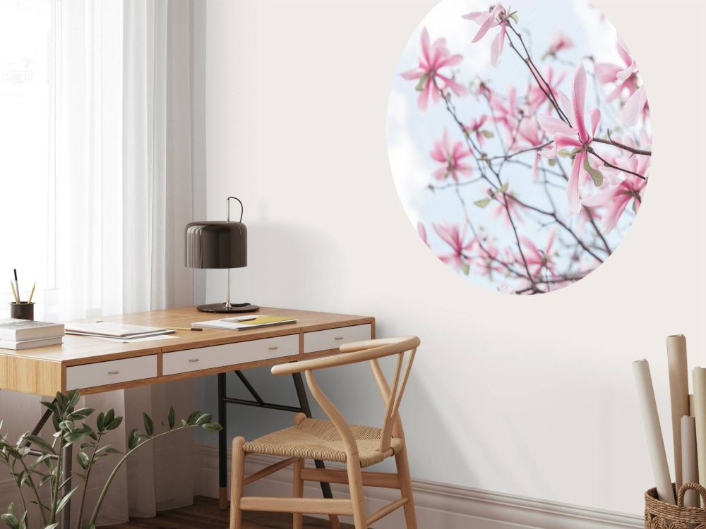 Magnolia