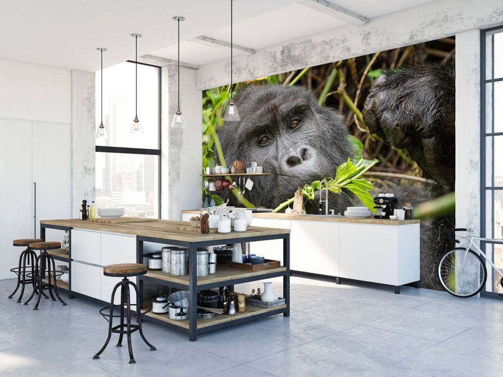 Gorilla tussen de takken