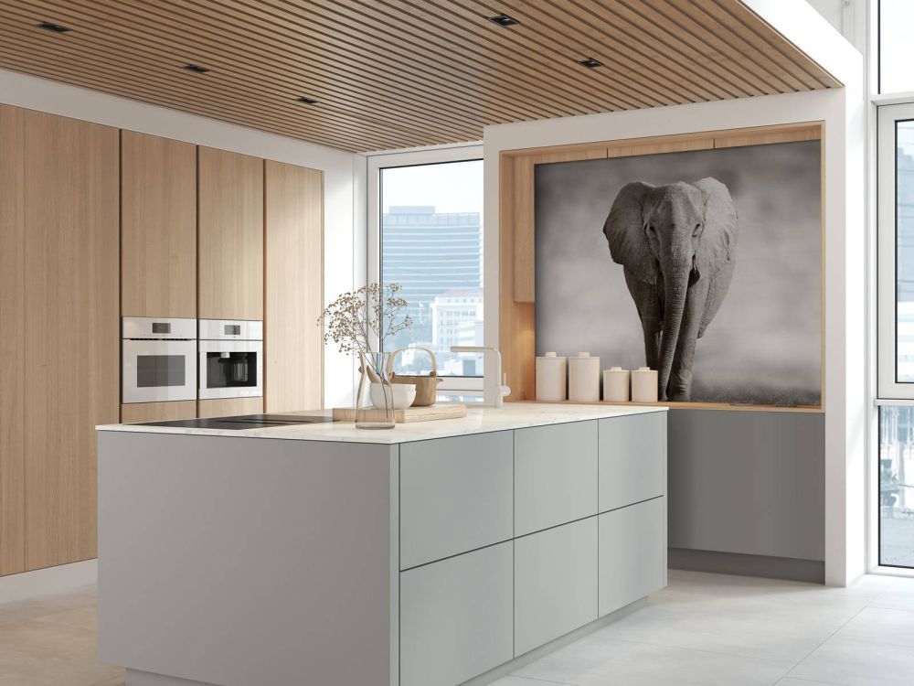 Mooie olifant