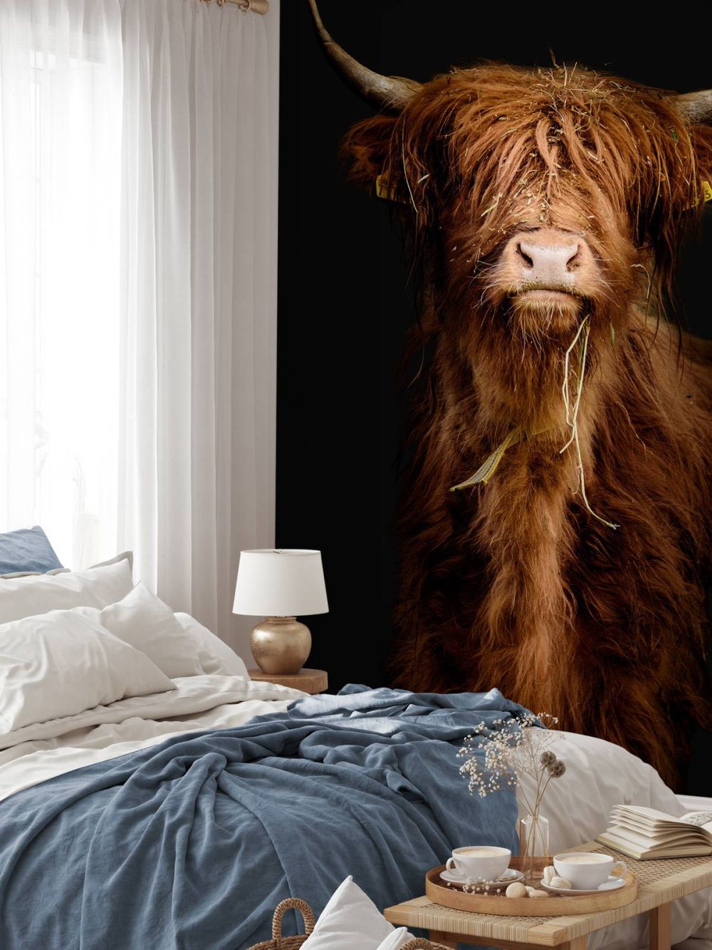 Portret Schotse hooglander