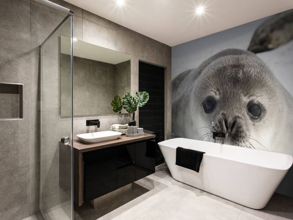 Close-up van een zeehond