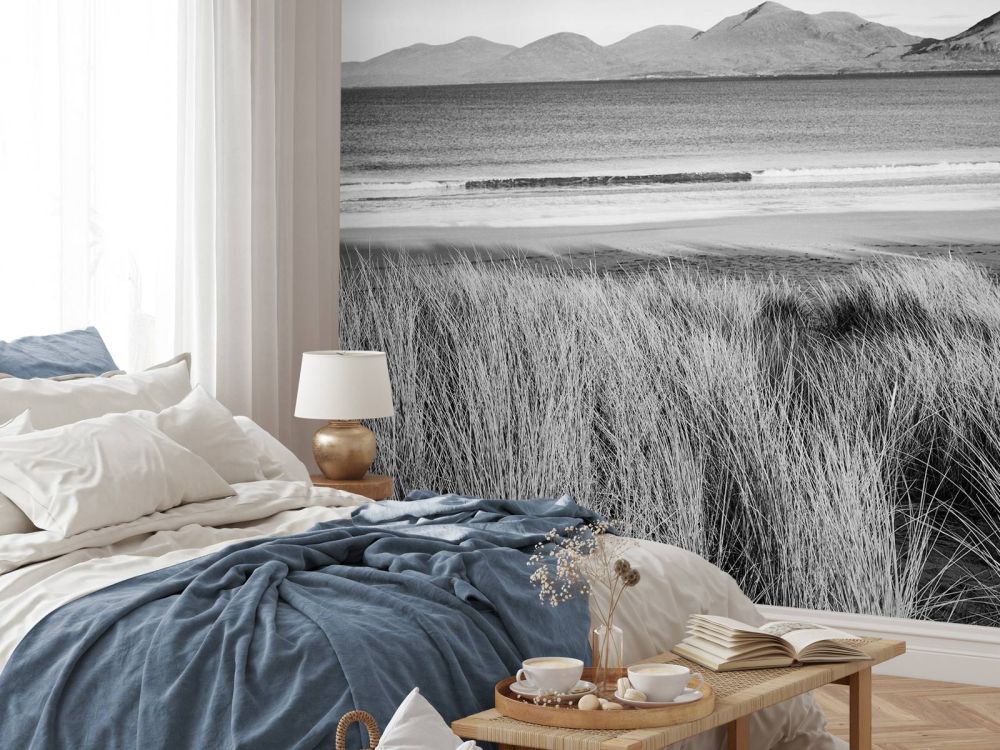 Helmgras, strand en bergen