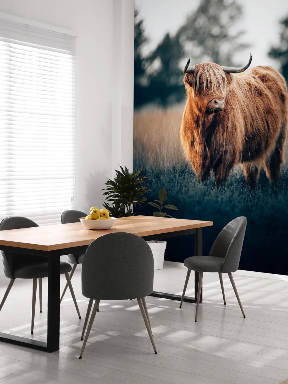 Portret van hooglanders