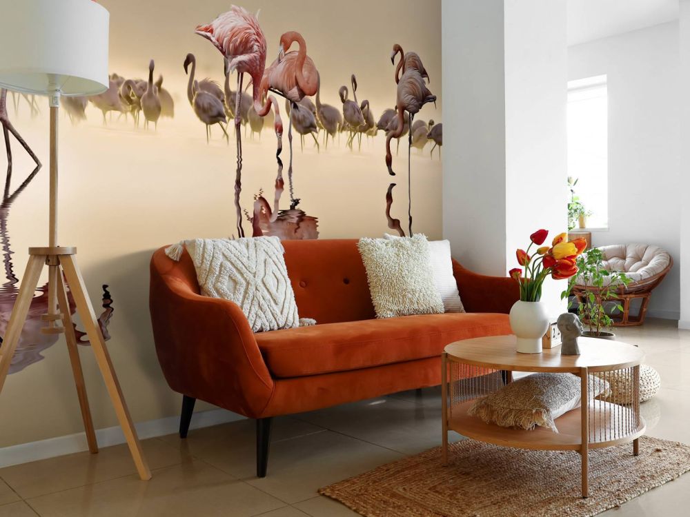 Flamingo Family