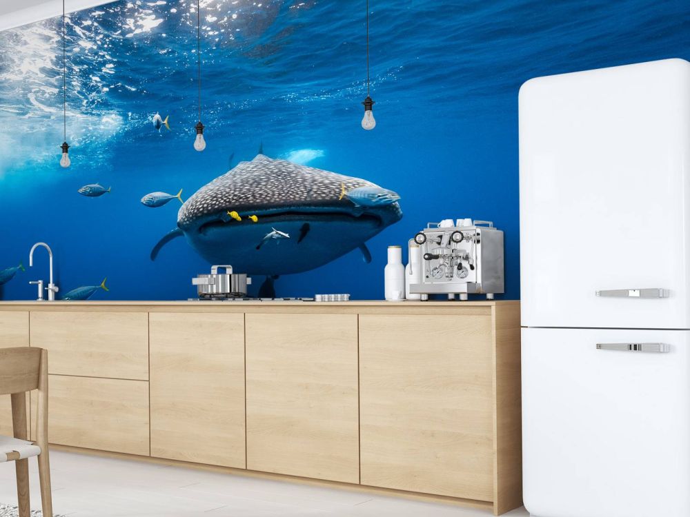 Whale shark escorted by a school of bonito