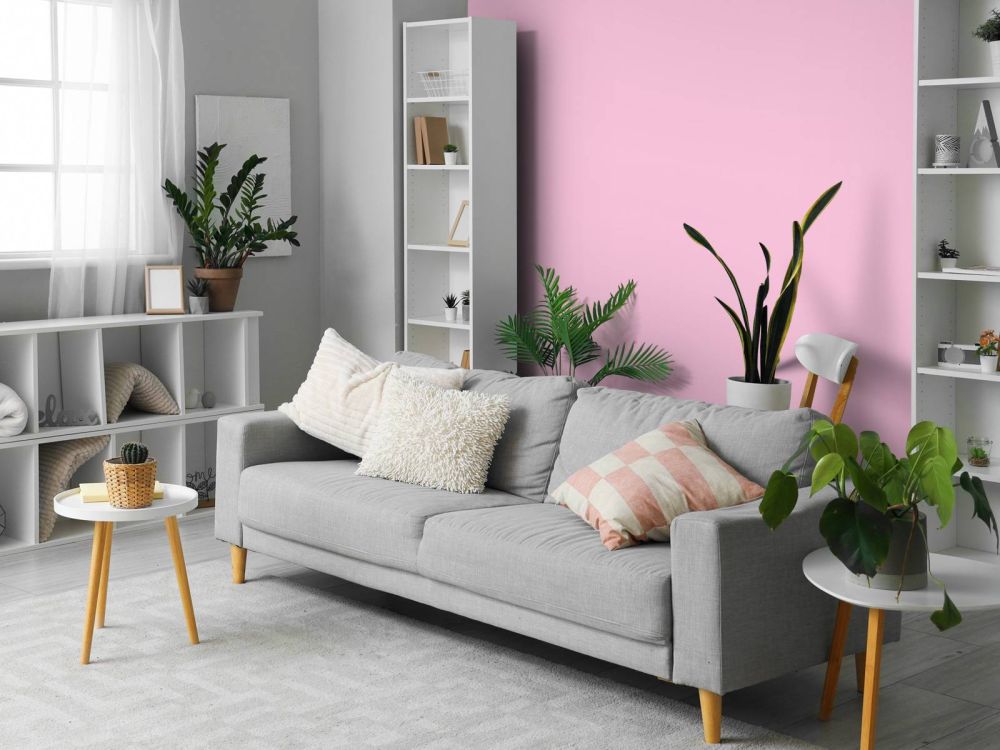 Paars roze