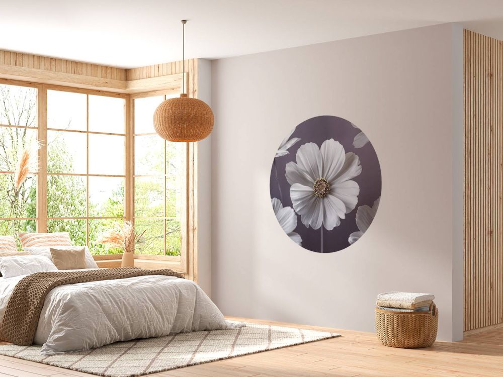 Cosmos bloemen