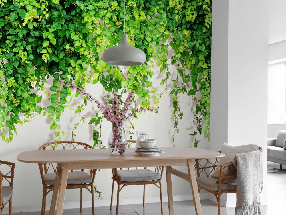 Groene hangende takken