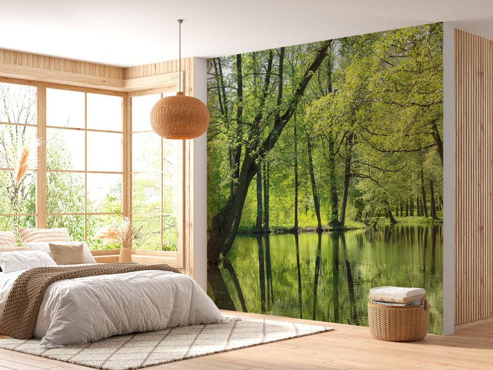 Zomers landschap