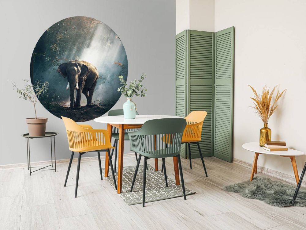 Olifant in een jungle