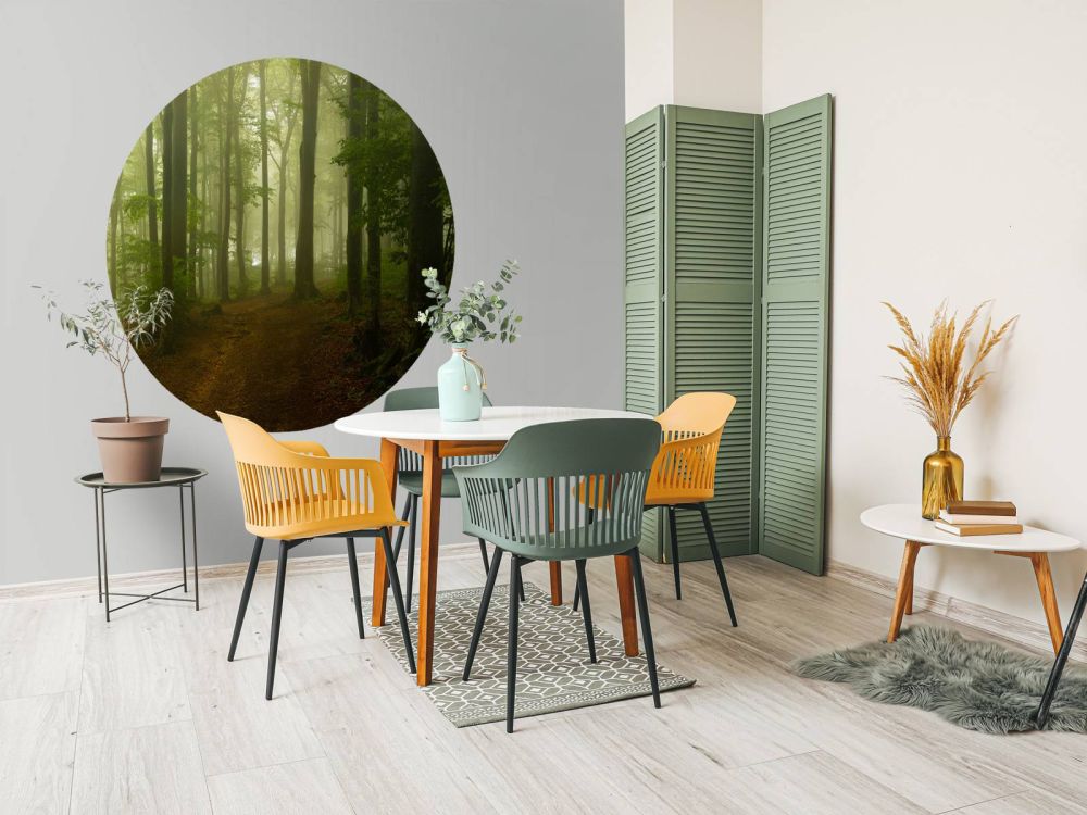 Pad door mistig groen bos