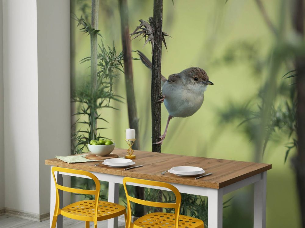 Vogel op een tak