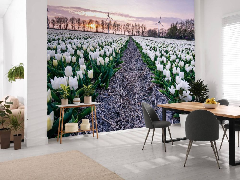 Wit tulpenveld