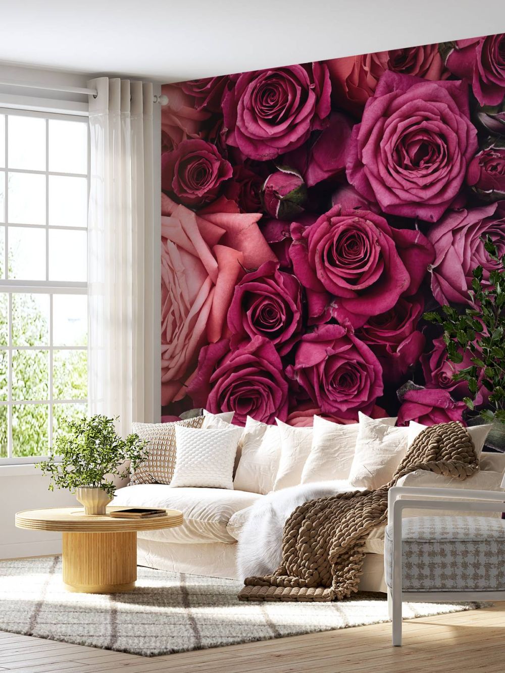 Roze rozen