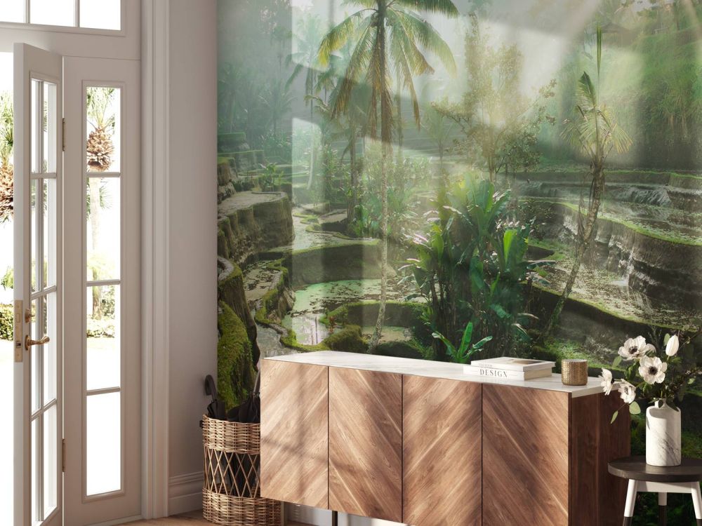 Rijstvelden in de jungle