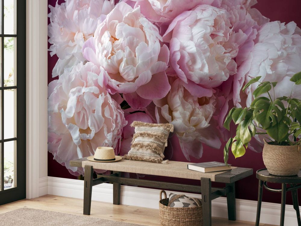 Bos roze pioenrozen