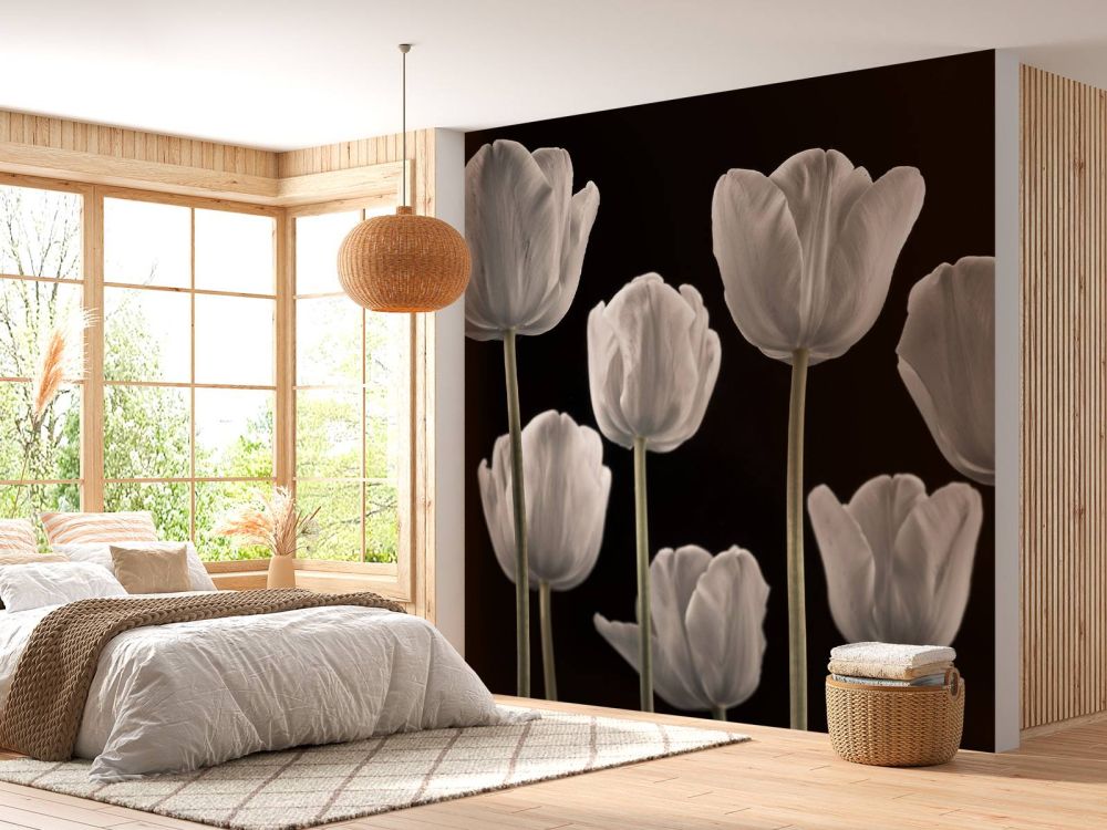 Verschilende tulpen
