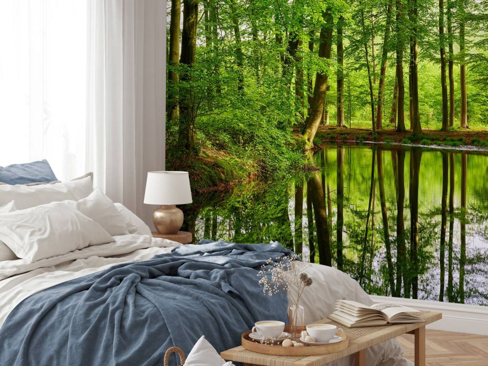 Weerspiegeling van bomen in water