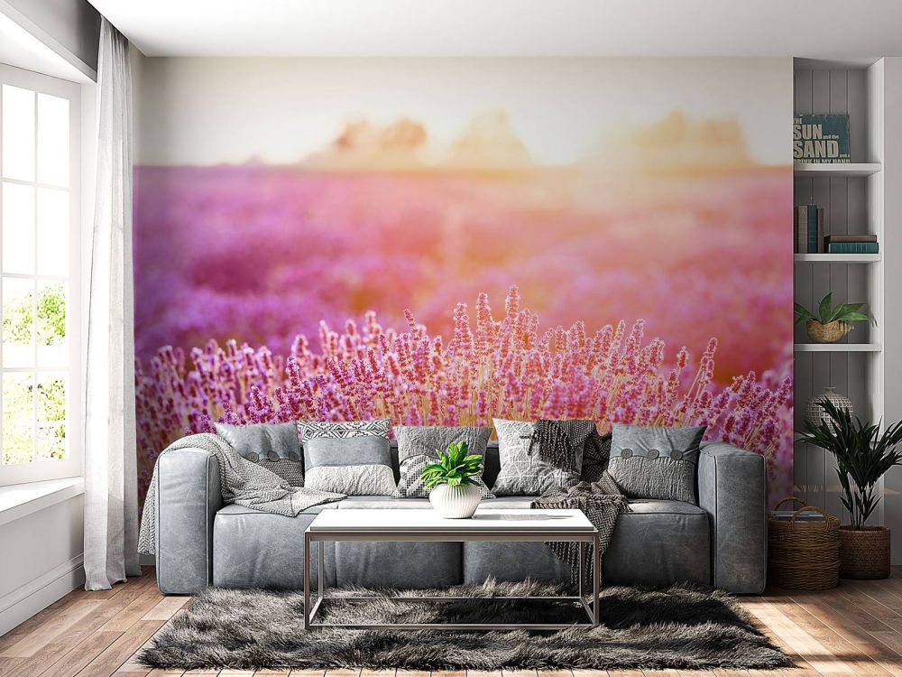 Close-up lavendel bloemen