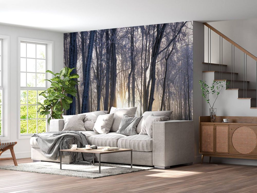 Bevroren bomen