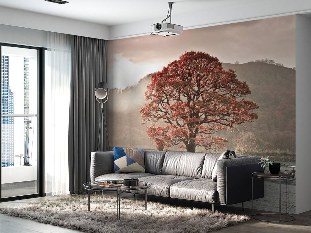 Eikenboom