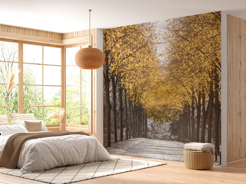 Pad door de bomen
