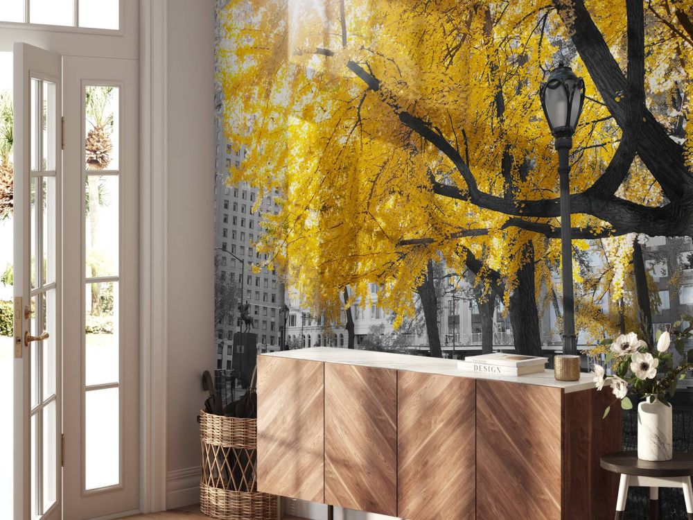 Een pad door Central park