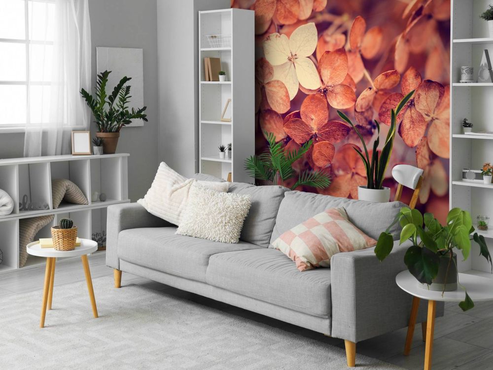 Droge hortensia's
