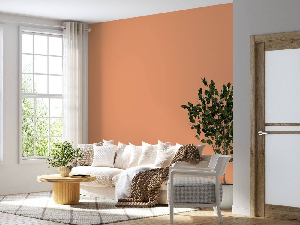 Roze oranje