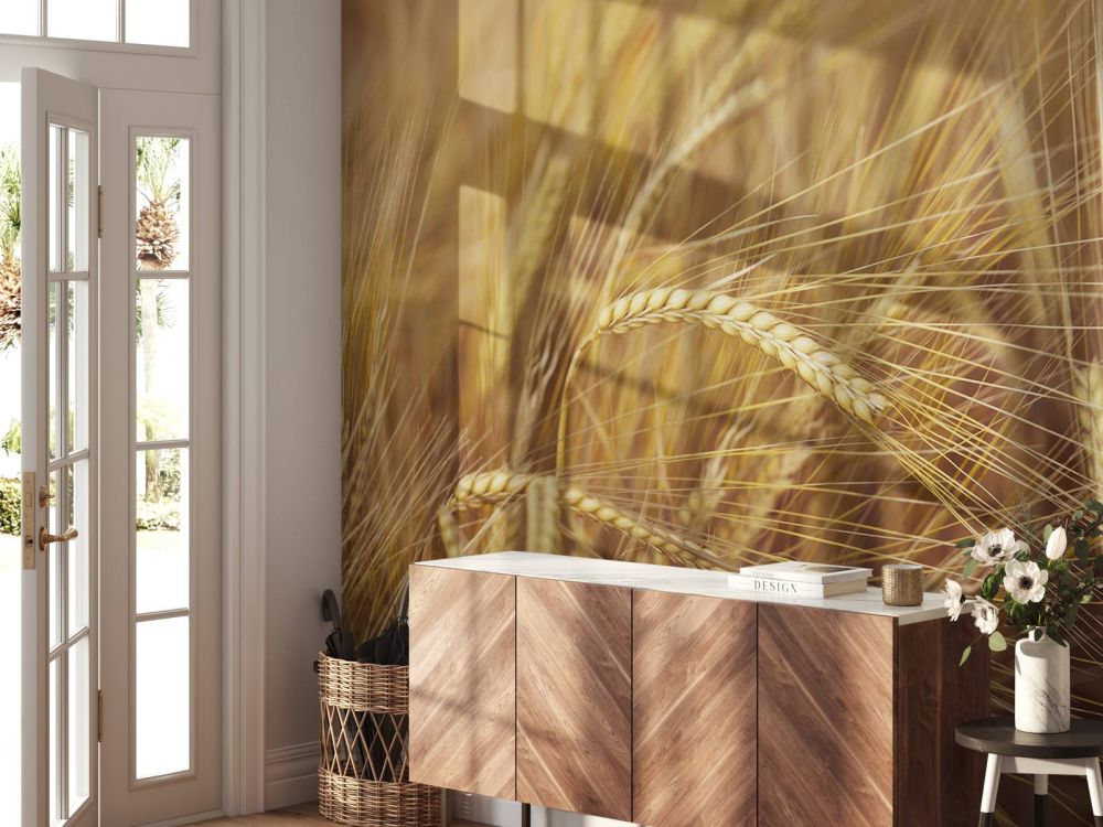 Wheat Field