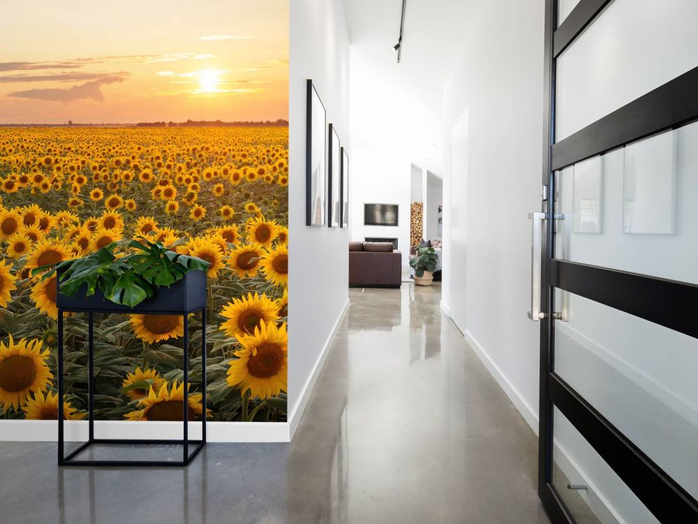 Zonnebloemen veld met zonsondergang