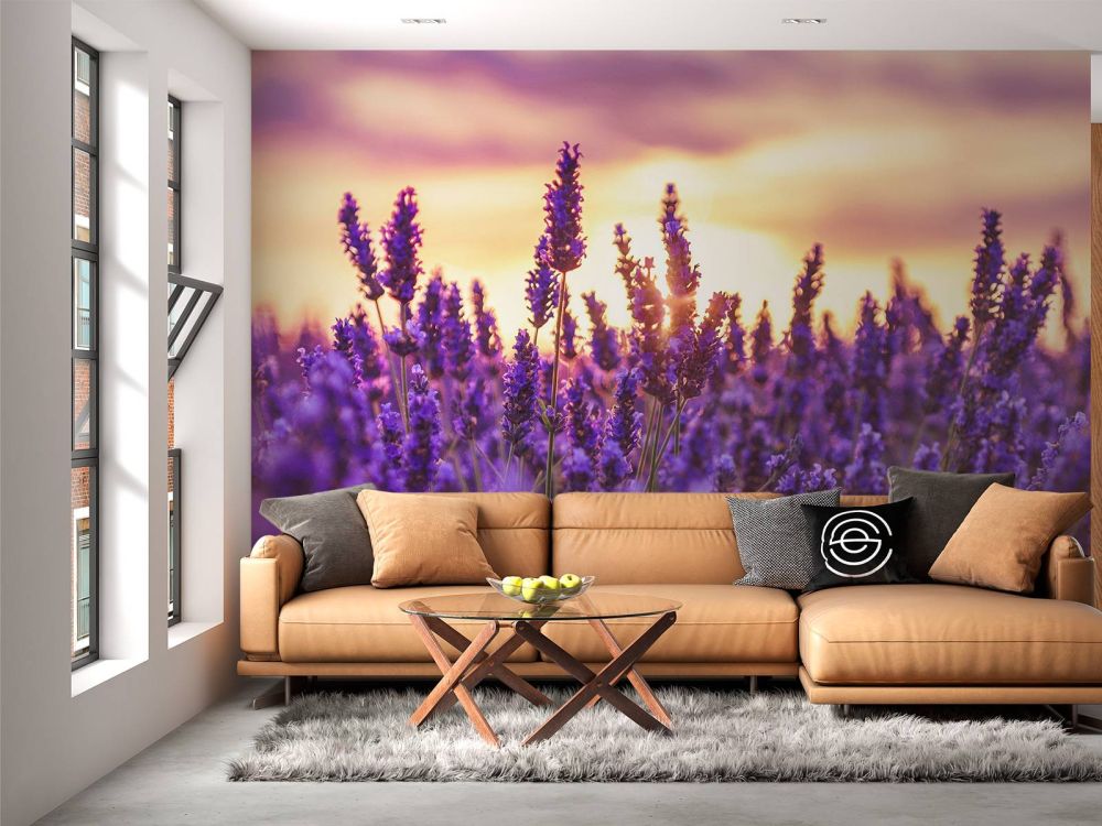 Lavendel bloemen