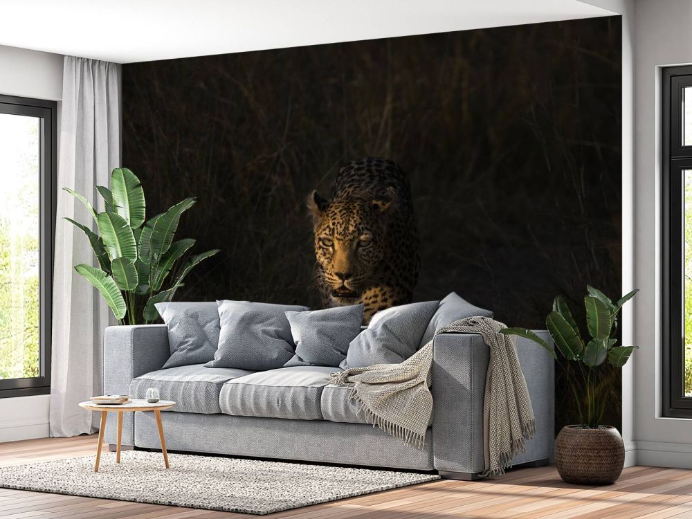 Luipaard met zonsondergang