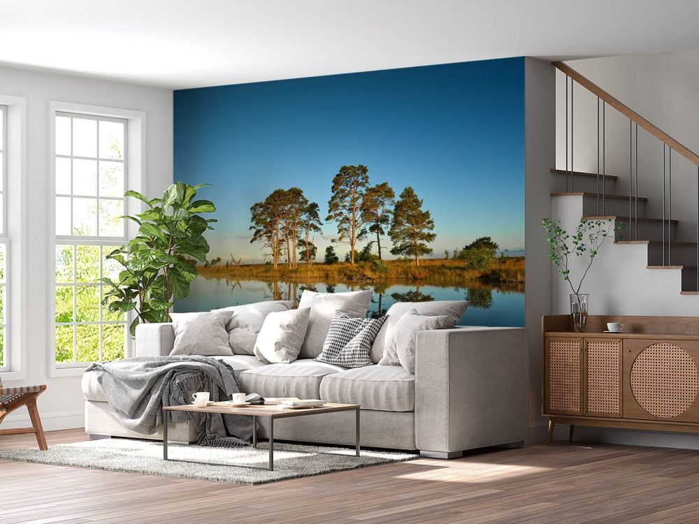 Weerspiegeling in bosmeertje