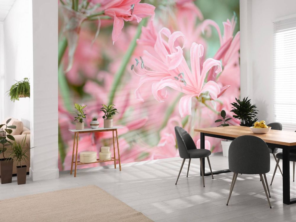 Nerine bloemen