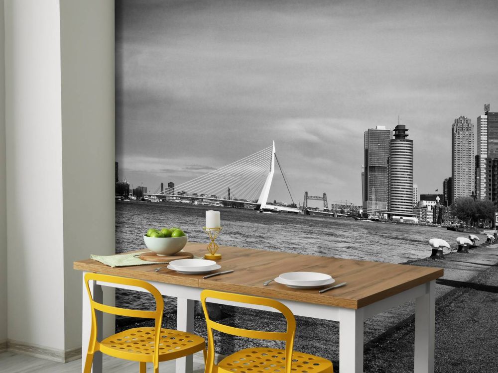 Wereldhavenstad Rotterdam 