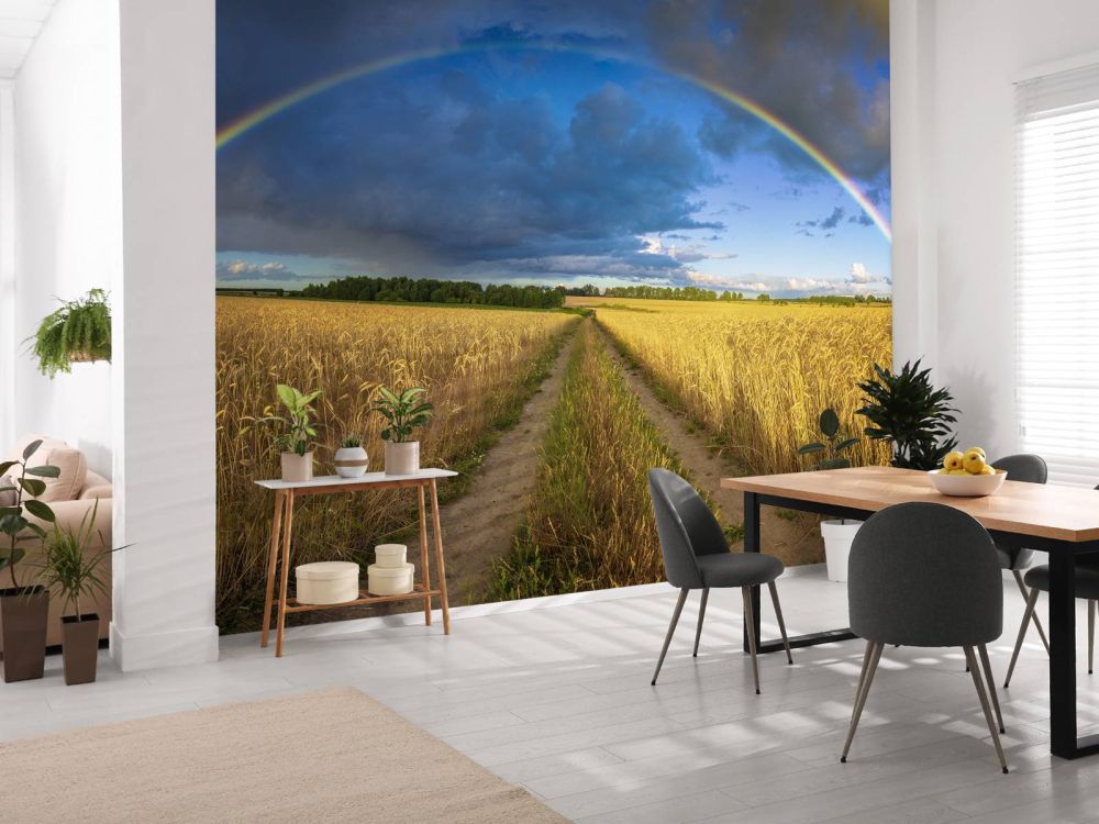 Regenboog over een graanveld